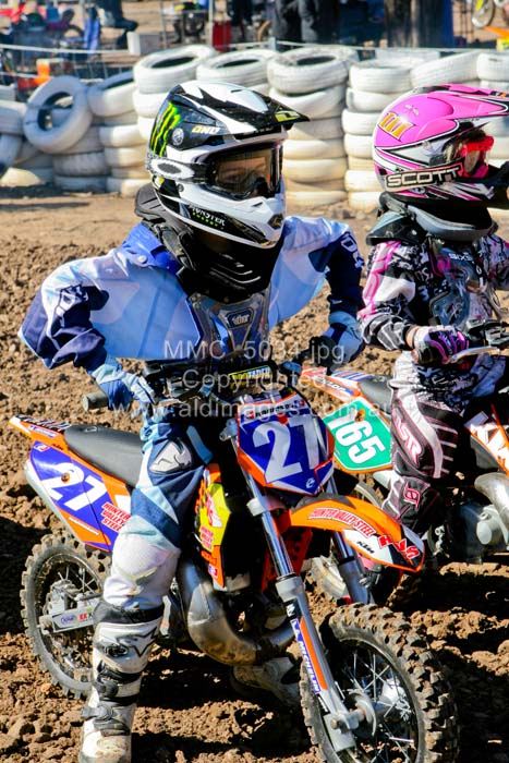 445x677 pixels (103K)